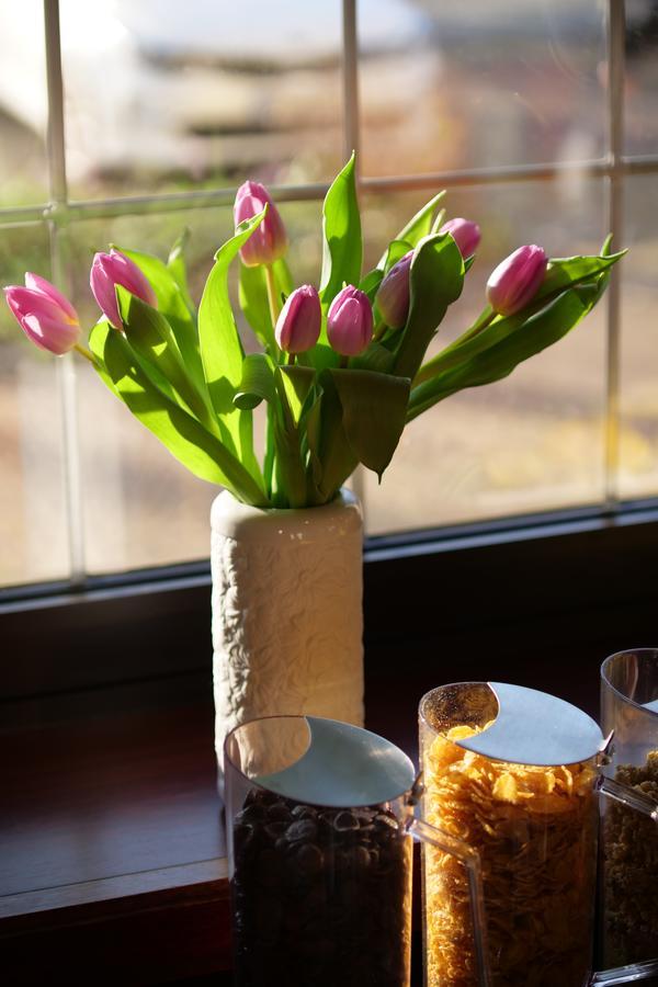 Parkhotel Bergheim Bergheim  Buitenkant foto